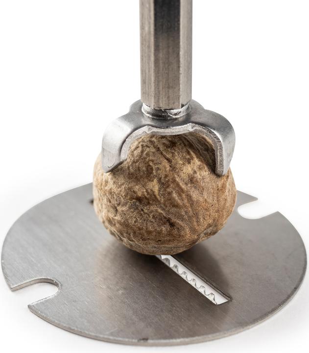 Actual product image Peugeot TIDORE nutmeg mill with steel mechanism (Nutmeg)