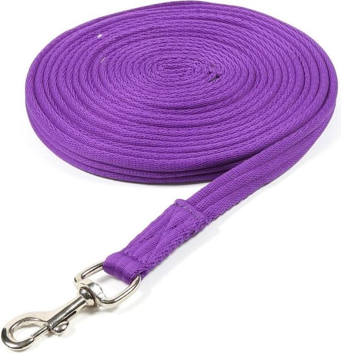 Longe Spinnennetz
