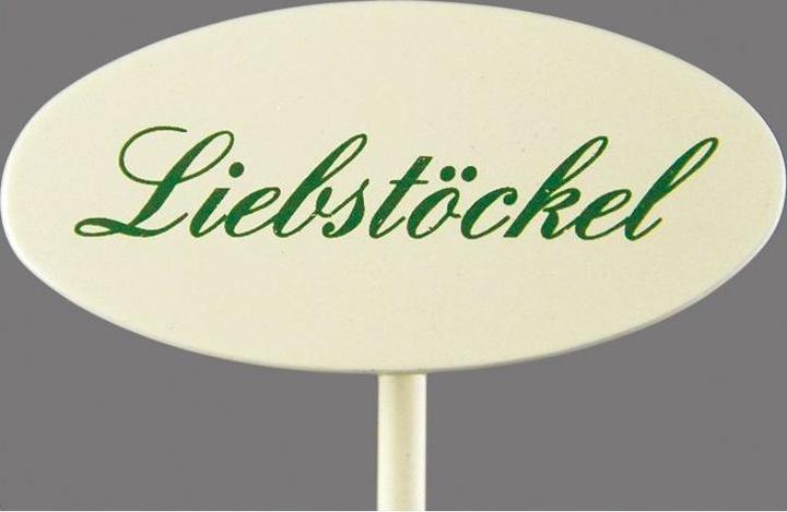 Gewürzstecker Liebstöckel 20 cm (20 cm)