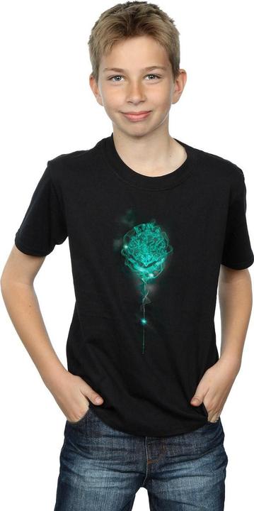 Produktbild Hogwarts Crest Mist TShirt Jungen (140, 146)