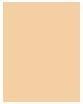 Produktbild Shiseido Synchro Skin Rad Lifting Fond de Teint No 220 (220 Linen)
