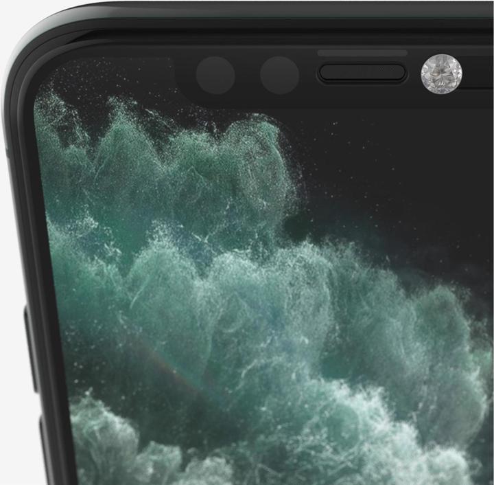 Actual product image PanzerGlass dual privacy (1 Piece, Apple iPhone 11 Pro, Apple iPhone XS, Apple iPhone X)