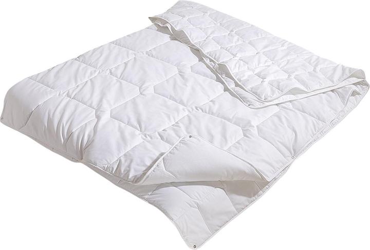 Produktbild Traumschlaf Thinsulate 4-Jahreszeiten (410 g, 240 x 220 cm)