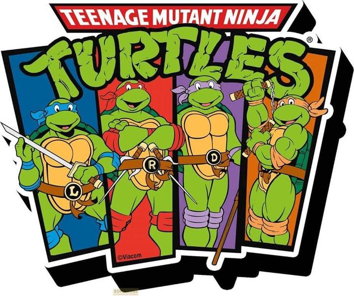NMR Distribution TMNT: Cast Funky Chunky Magnet (1 x)