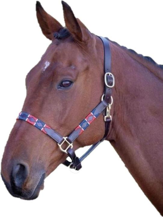 Universal Textiles Polo Horse Halter Leather