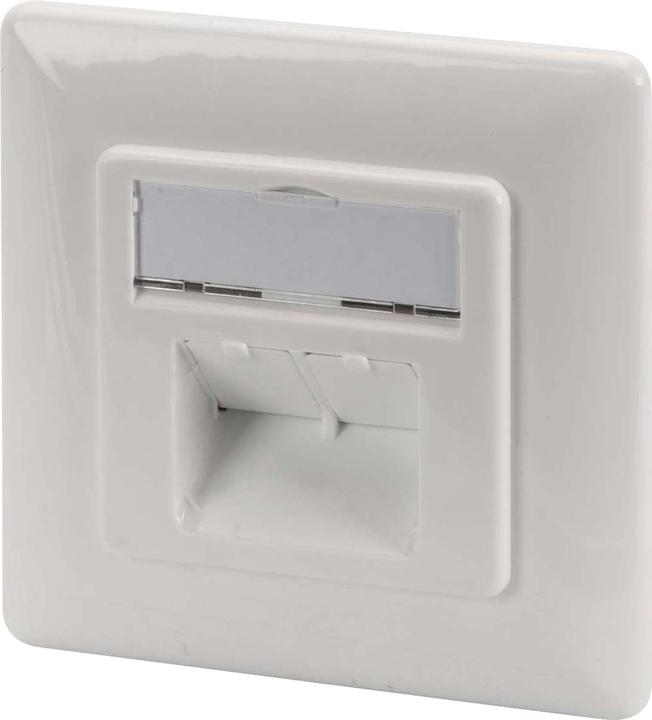 Actual product image Digitus EA network socket