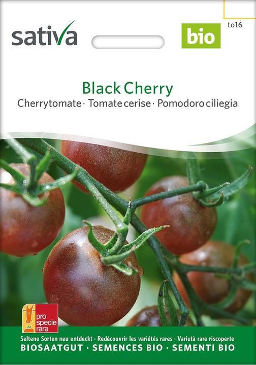 Actual product image Sativa Cherry Tomato Black Cherry (Seed bombs)