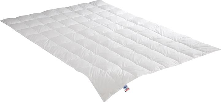 Produktbild Irisette Daunensteppbett Nora leicht (240 g, 135 x 200 cm)
