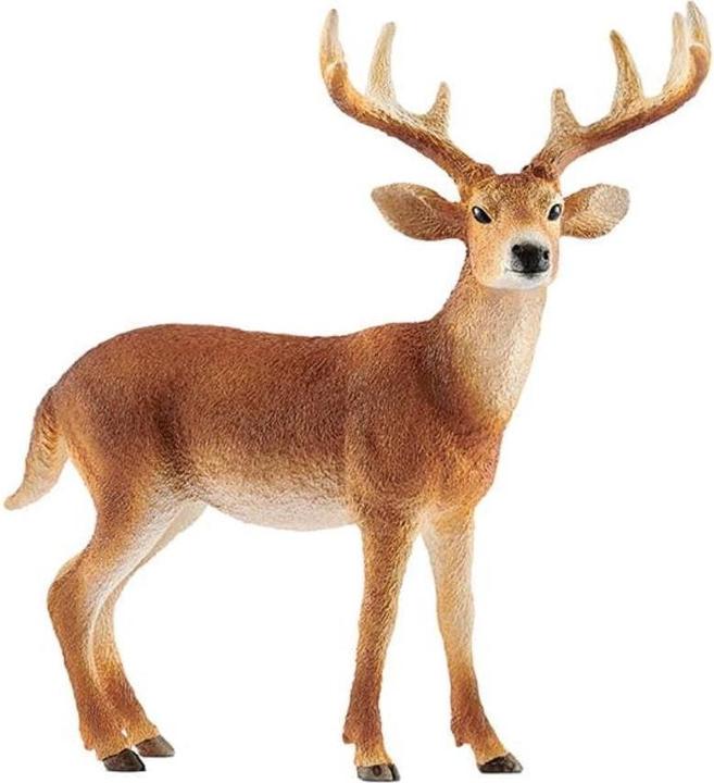 Produktbild Schleich Mangalarga Marchador Hengst
