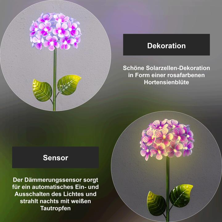 Produktbild Star Trading Hortensia (IP44)