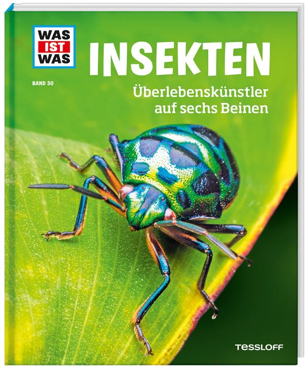 Actual product image Tessloff WAS IST WAS Band 30 Insekten. Überlebenskünstler auf sechs Beinen (German, Alexandra Rigos, 2018)