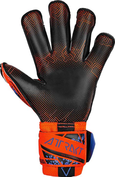 Image du produit Reusch Gant de gardien de but Attrakt Gold X - 10 (10)