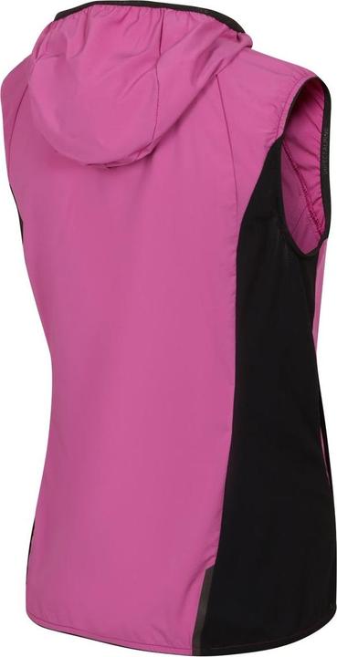 Immagine prodotto Directalpine Element Lady 1.0, Weste, Damen (Athletic Fit) - Direct Alpine, 300 (XS)