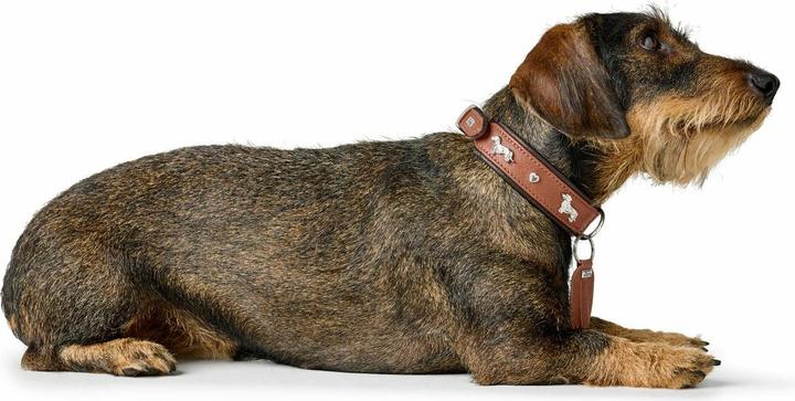 Immagine prodotto Hunter Collare bassotto Monaco 37/XS-S, pelle di vacchetta (37, Cane, Generale)