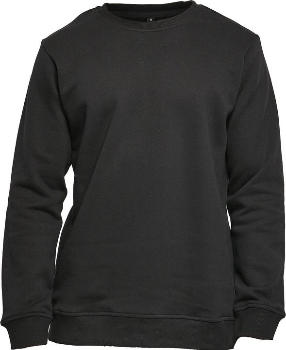 Build Your Brand Basic Sweatshirt