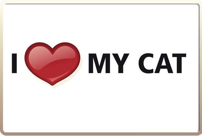 Blechschild I love my cat (10.5 x 14.8 cm)