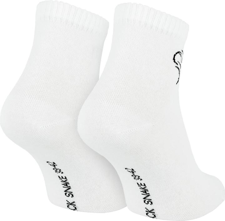 Actual product image Black Snake 12 Pack Pure Comfort (pack of 12, 39, 42)