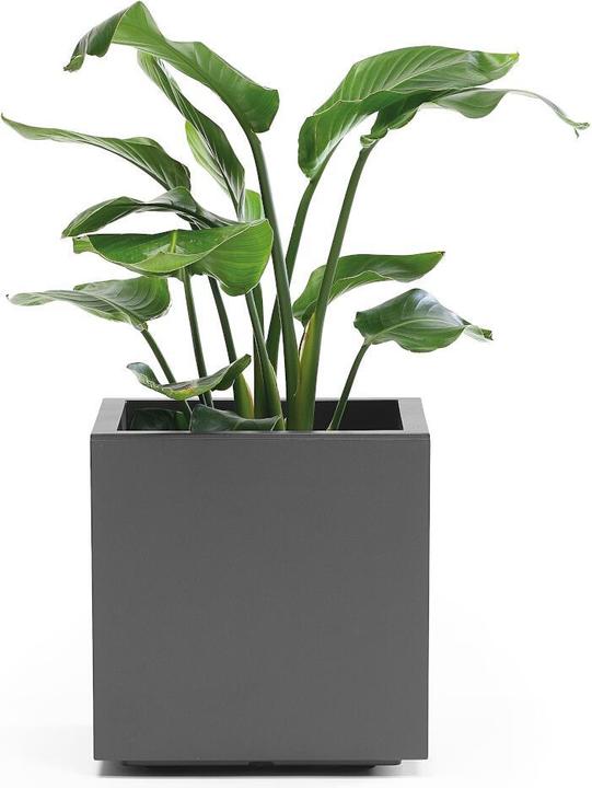 Actual product image Euro3plast Planter (39.50 cm)