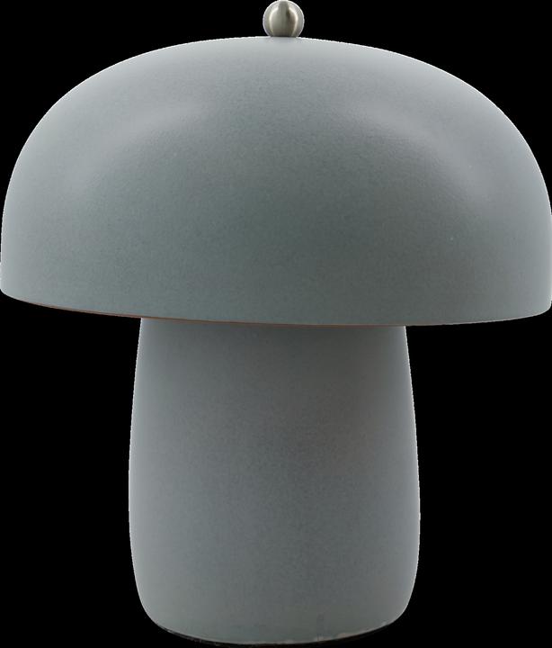 Actual product image Xiaomi Tischleuchte, HDMoss, Grau (E27)