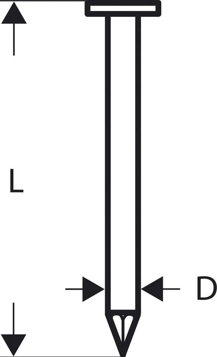 Bosch Professional Zubehör Chiodo a testa tonda SN21RK 75 2,8 mm, 75 mm, liscio, liscio