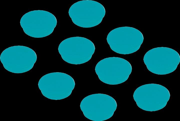 Actual product image Franken Magnet round MagFun (10 x)