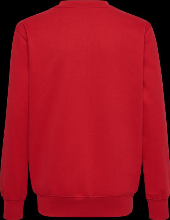 Actual product image hummel Hmlgo 2.0 Sweatshirt Kids (128)