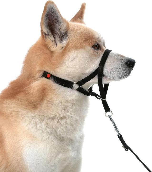 Image du produit Karlie Easy Leader (L, Chien, Général)