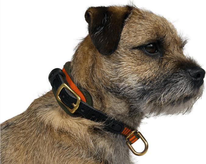 Actual product image Niggeloh Collar DeLuxe (XXS, Dog, General)