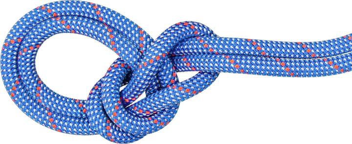 Immagine prodotto Mammut Corda da arrampicata 9.5 Crag Classic (60 m)