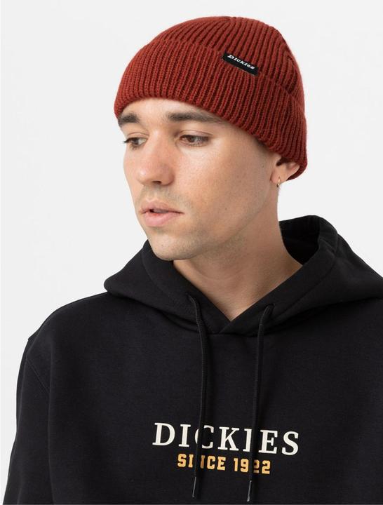 Dickies Woodworth Beanie