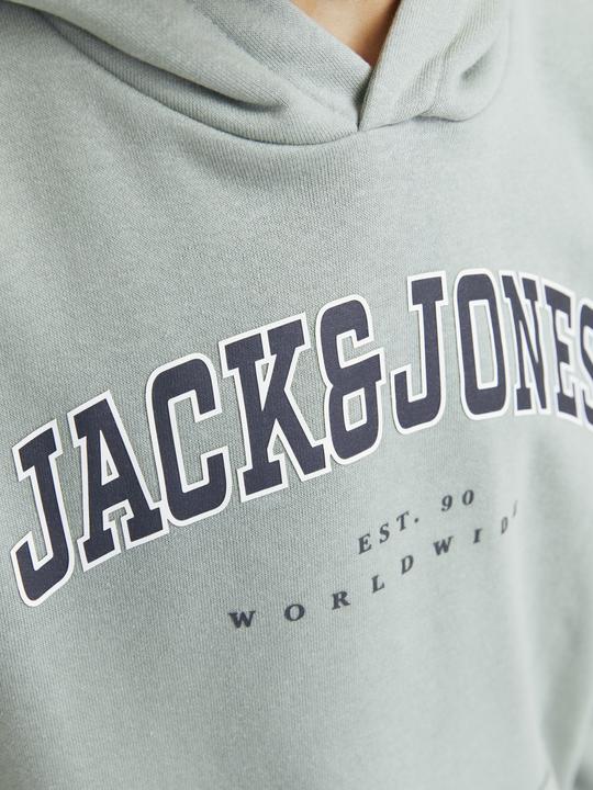 Produktbild Jack & Jones Jjecaleb Varsity Sweat Hood Noos Jnr (128)