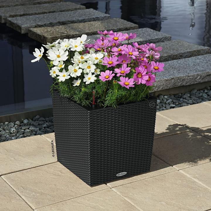 Produktbild Lechuza Cube Cottage (29.50 cm)