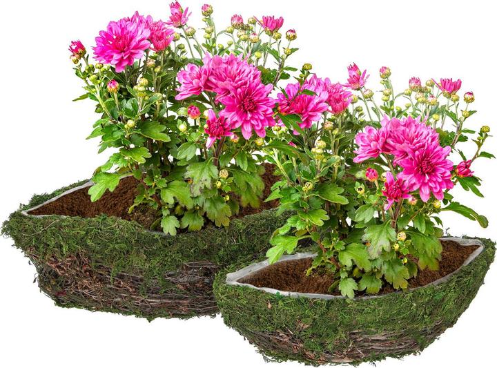 Actual product image Natura Punto Set of 2 cachepots or decorative bowls made from natural materials