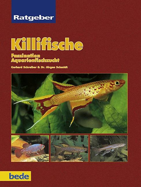 Produktbild Ratgeber Killifische (Deutsch, Jürgen Schmidt, 2009)