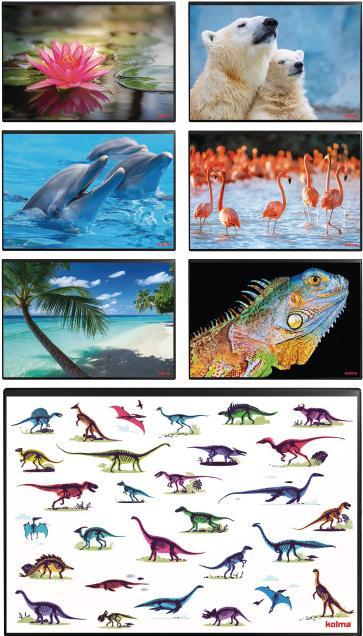 Produktbild Kolma Schreibunterlage Poster (Eisbär) 50 x 34 (50 x 34 cm)