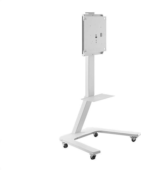 Actual product image Hagor ST SA Flip II (Flip2, 65", 45 kg)