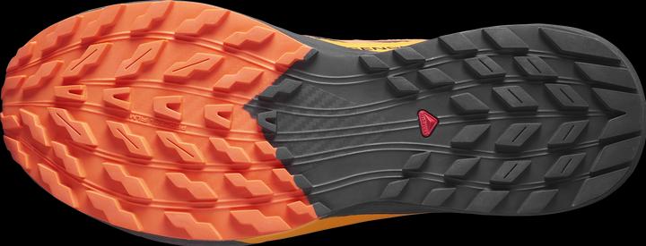 Actual product image Salomon Sense Ride 5 GTX men's trail running shoes (43)