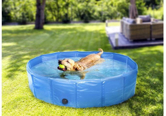 Immagine prodotto Flamingo Cane Splash Pool Blu M - (540058510924)