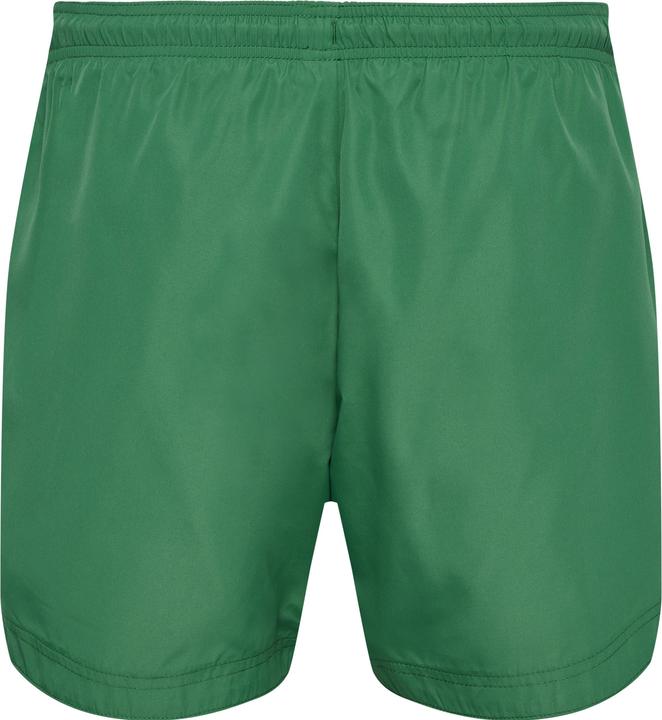 Image du produit hummel hmlLGC NED SWIM SHORTS (S)