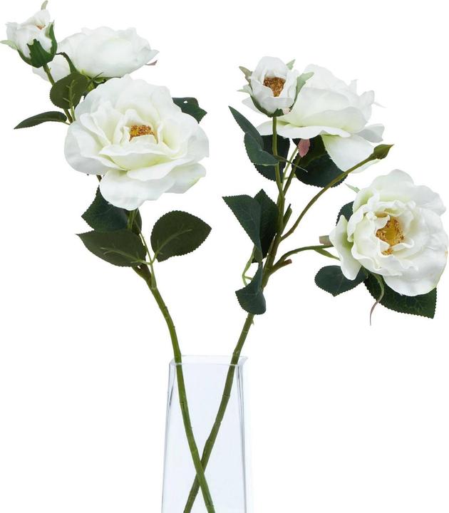 Image du produit Hill Interiors - Fleur artificielle THE NATURAL GARDEN COLLECTION (60 cm)