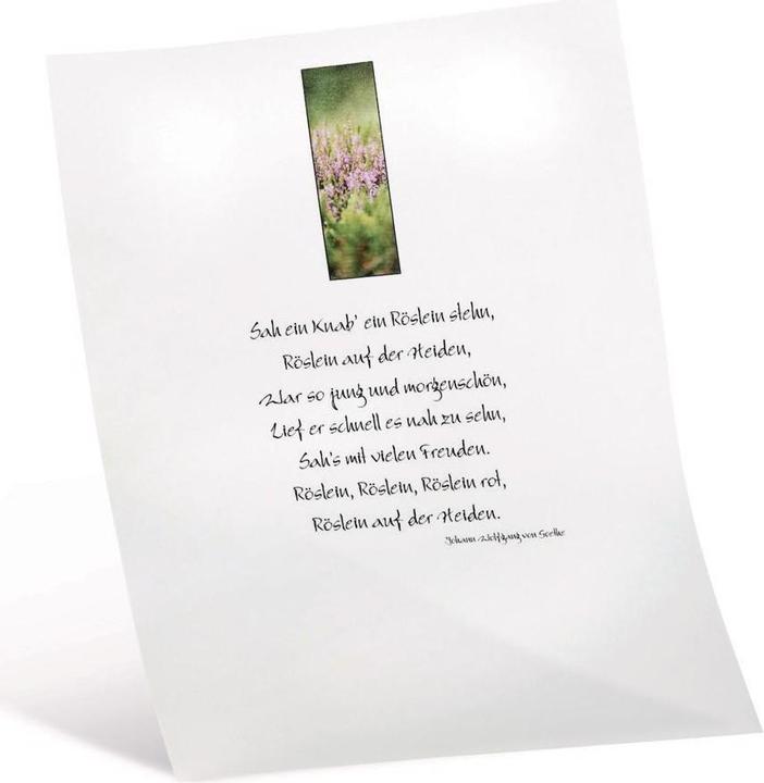 Actual product image Folia Transparent paper (115 g/m², 10 x)