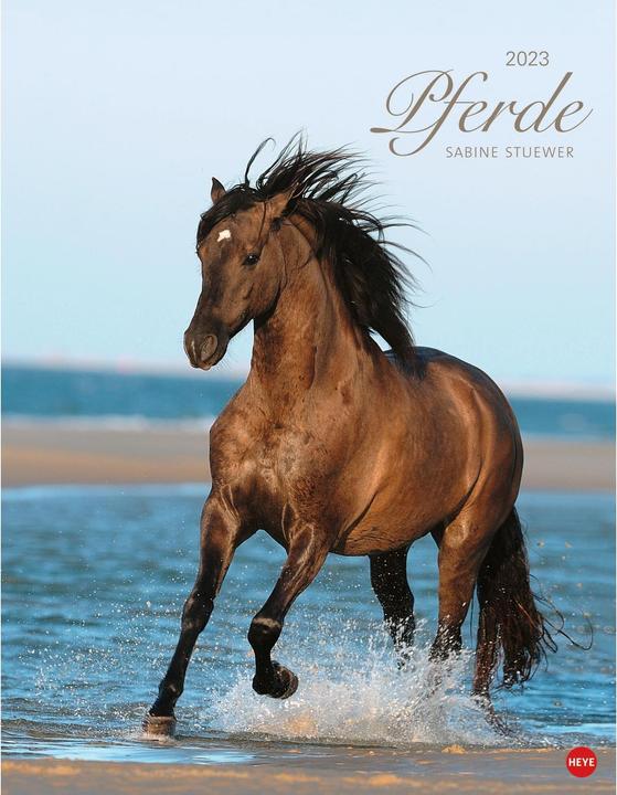 Produktbild Heye Kalender Pferde Classics Posterkalender 2023 (34 x 44 cm, Deutsch)
