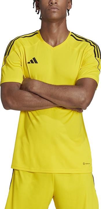 Actual product image adidas Tiro 23 Jersey Men (M)