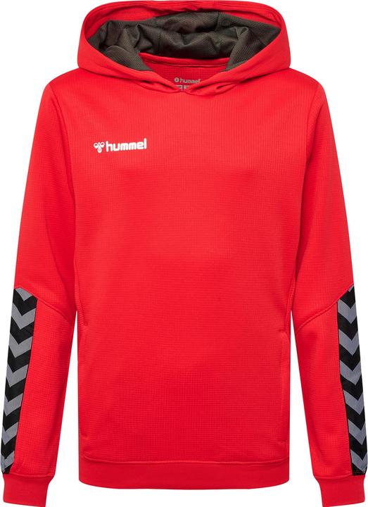 Produktbild hummel Authentic Kids Poly Hoodie (152)