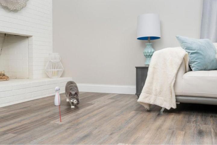 Immagine prodotto PetSafe Bullone (Catmint giocattolo)