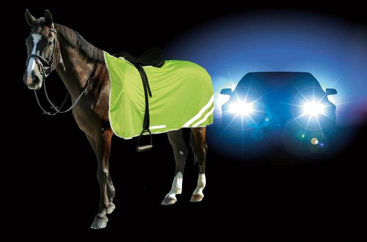 Actual product image Kerbl Security blanket (145 cm)