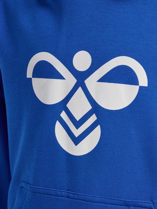 Actual product image hummel hmlCUATRO HOODIE (116)