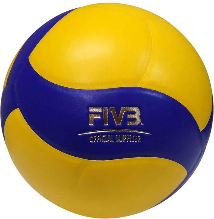 Actual product image Mikasa V333W SCHOOL PRO
