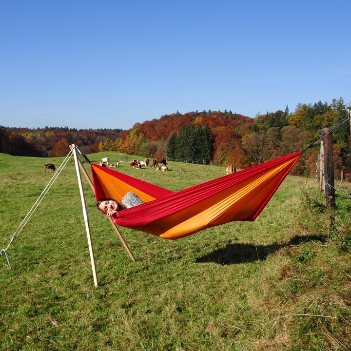 Actual product image Amazonas Adventure (150 kg)