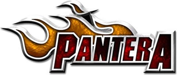 Immagine prodotto Pantera Logo Fiamma Distintivo